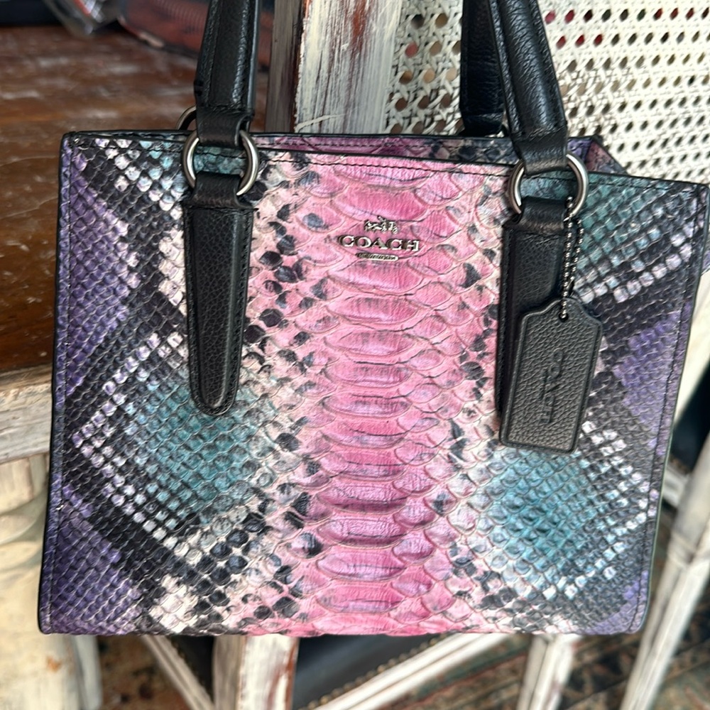 Rare Python Mini Coach